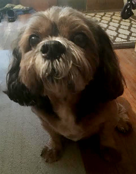 Wilson Curtism aka The Cutest. September 2015.